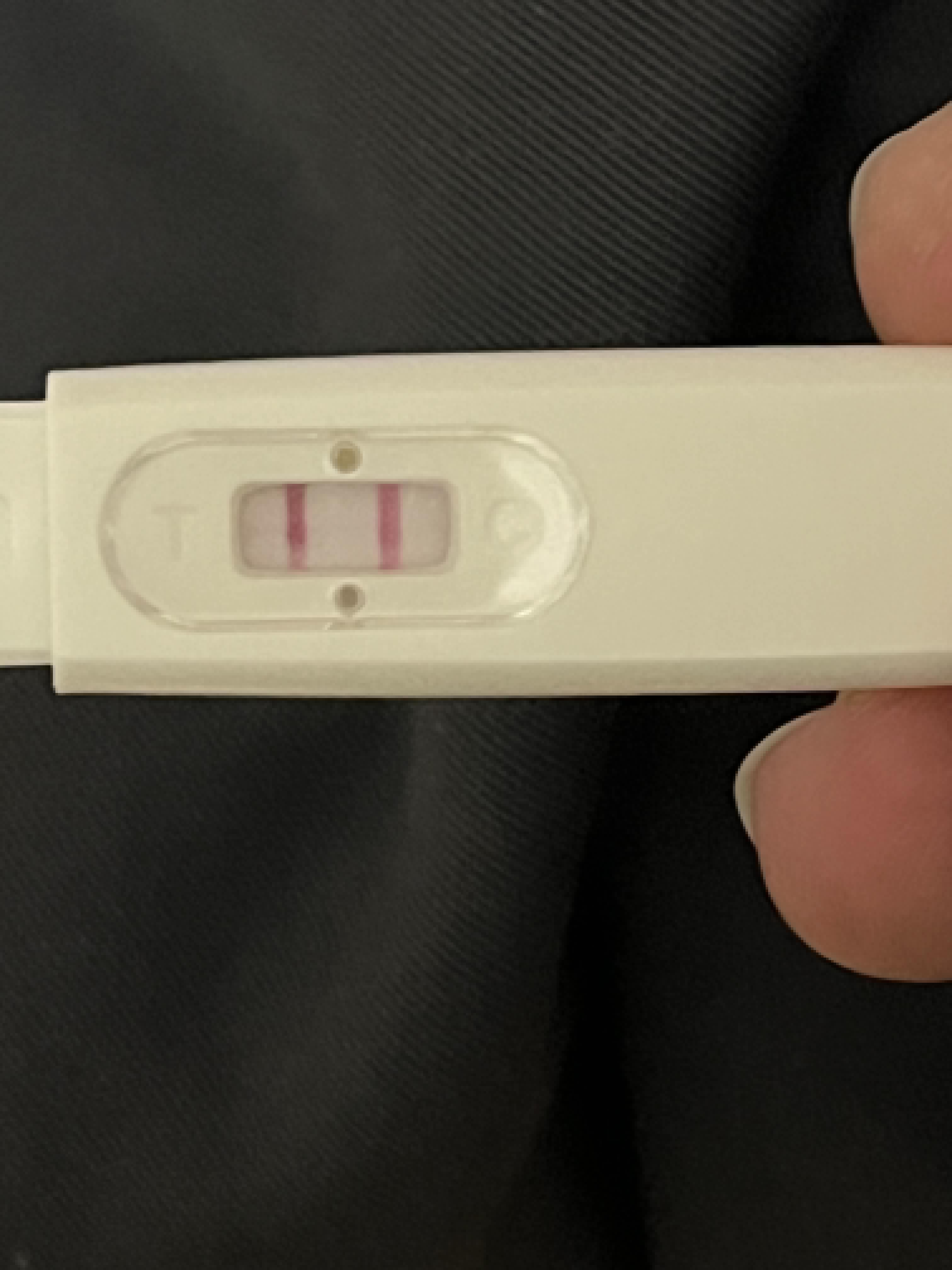 QM6yi-HSd.jpg