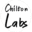 chiltonlabs.uk
