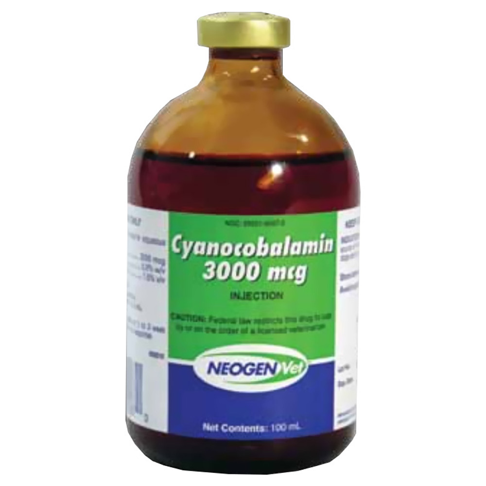 entirelypetspharmacy.com