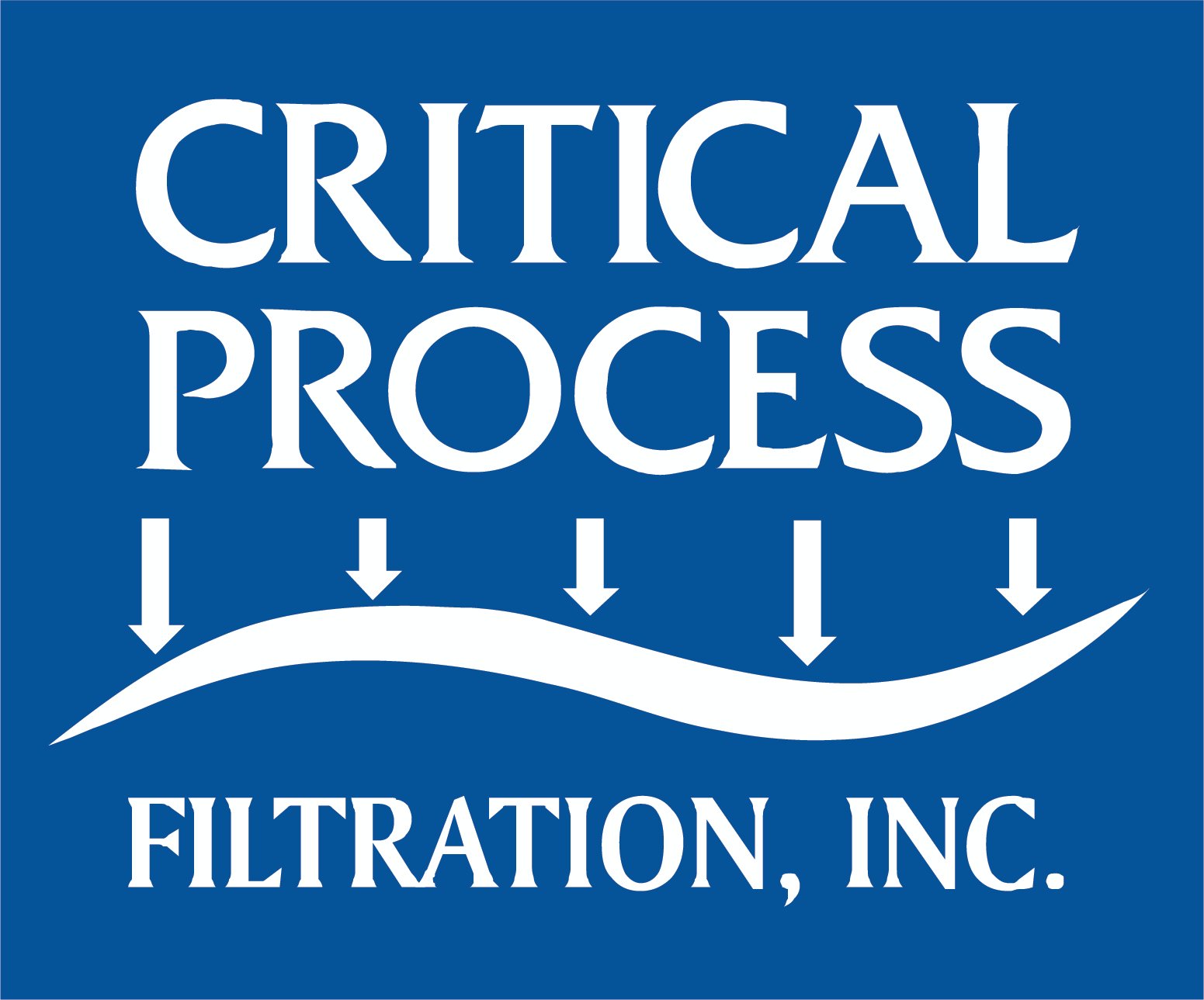 www.criticalprocess.com